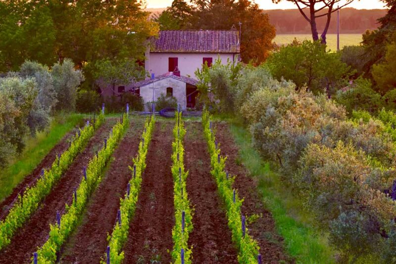 TOURSbigimage-BIG_DSC5684