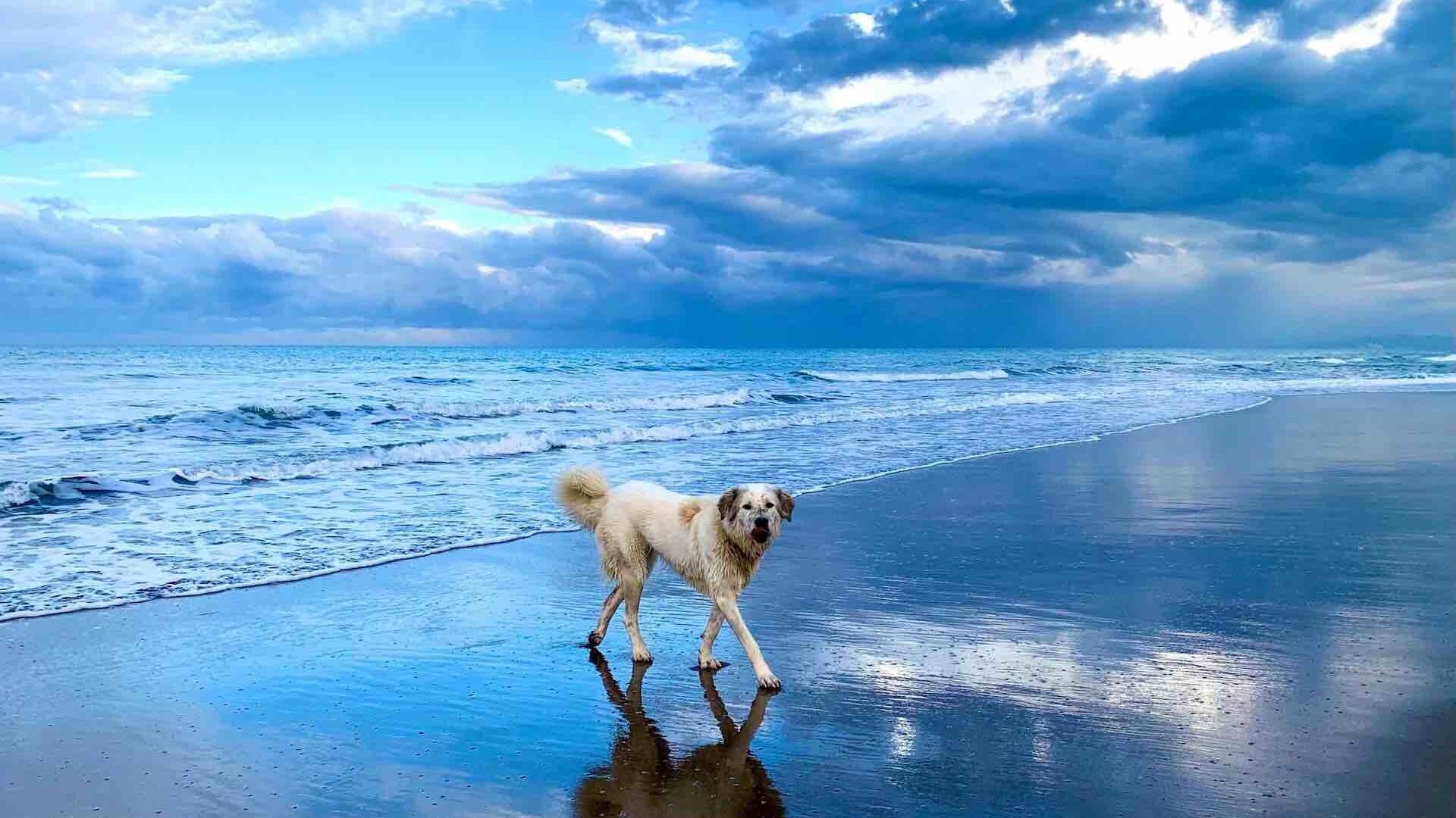 7nUXtCGQChk9pfJvq3khYa 7nUXtCGQChk9pfJvq3khYa