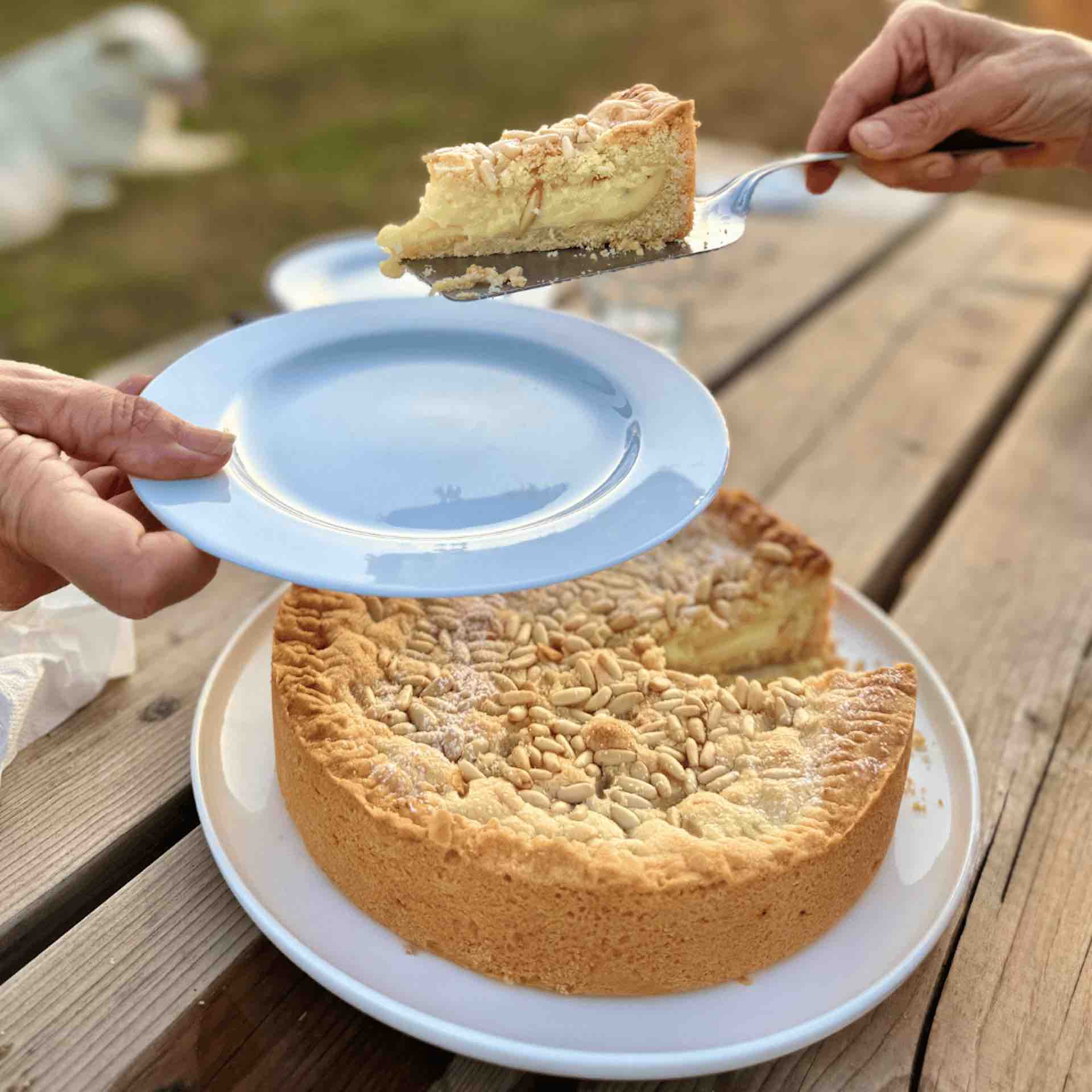 Torta della nonna
