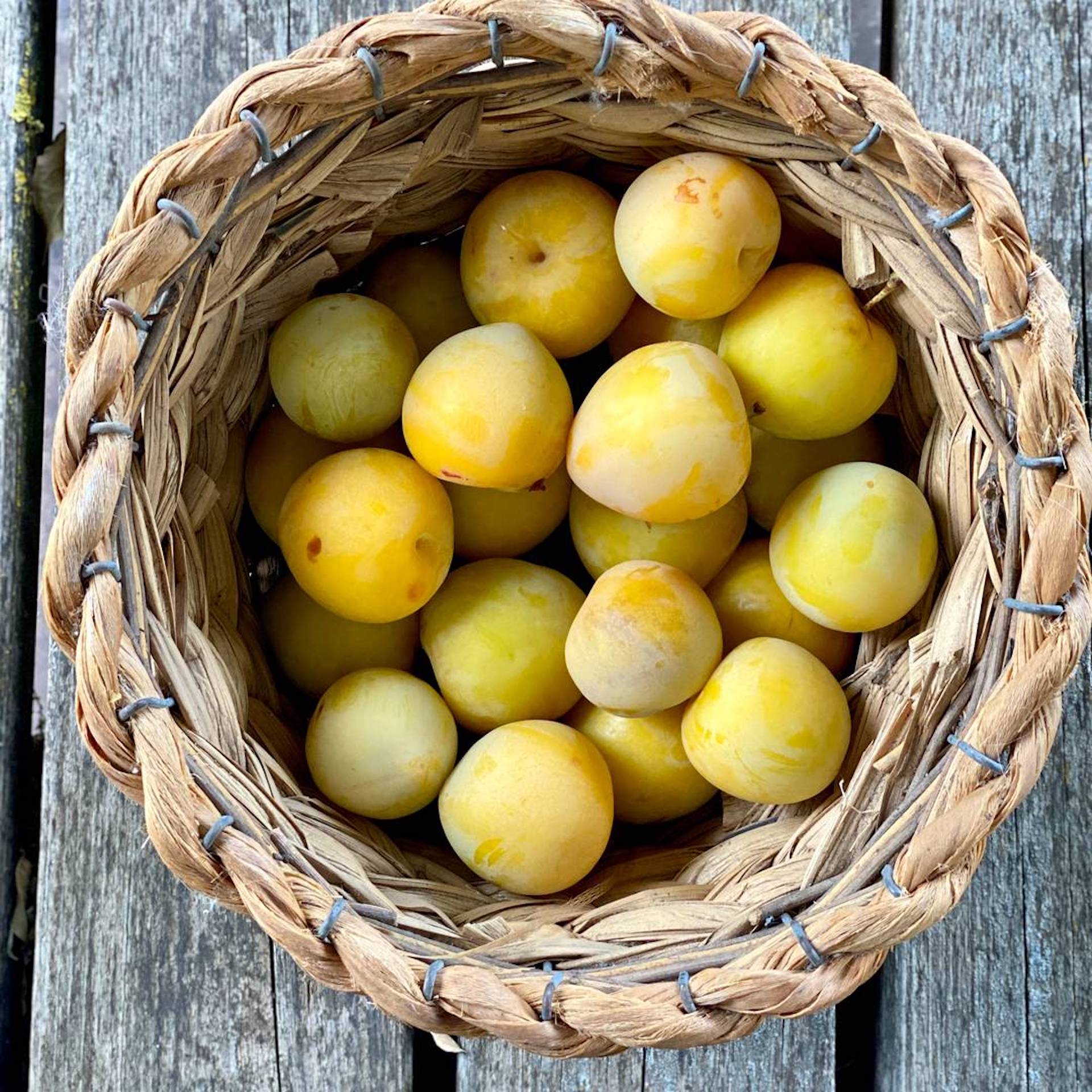 Fruits