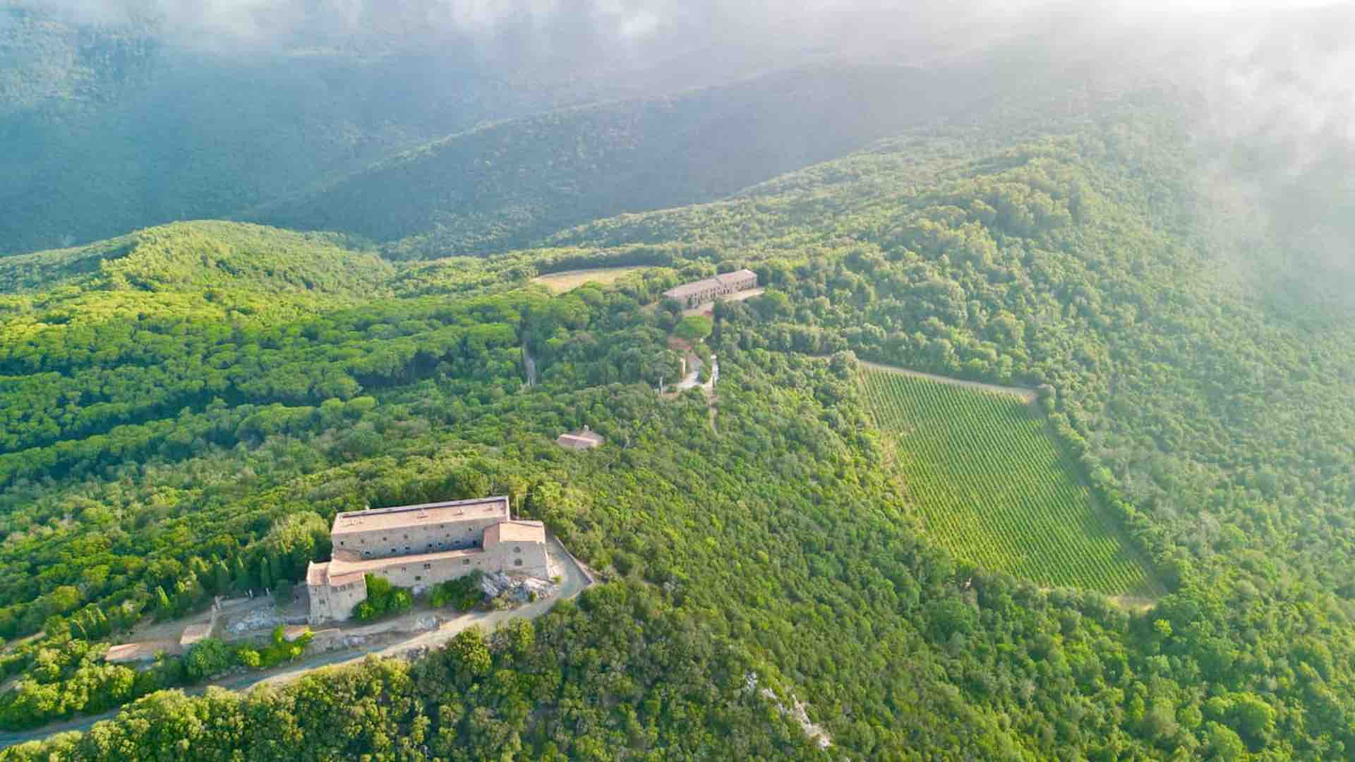 Aerial View of Castiglioncello di Bolgheri and Sassicaia Vineyard Drone view of a hilltop castle surrounded by forest and the historic vineyard where Sassicaia wine began