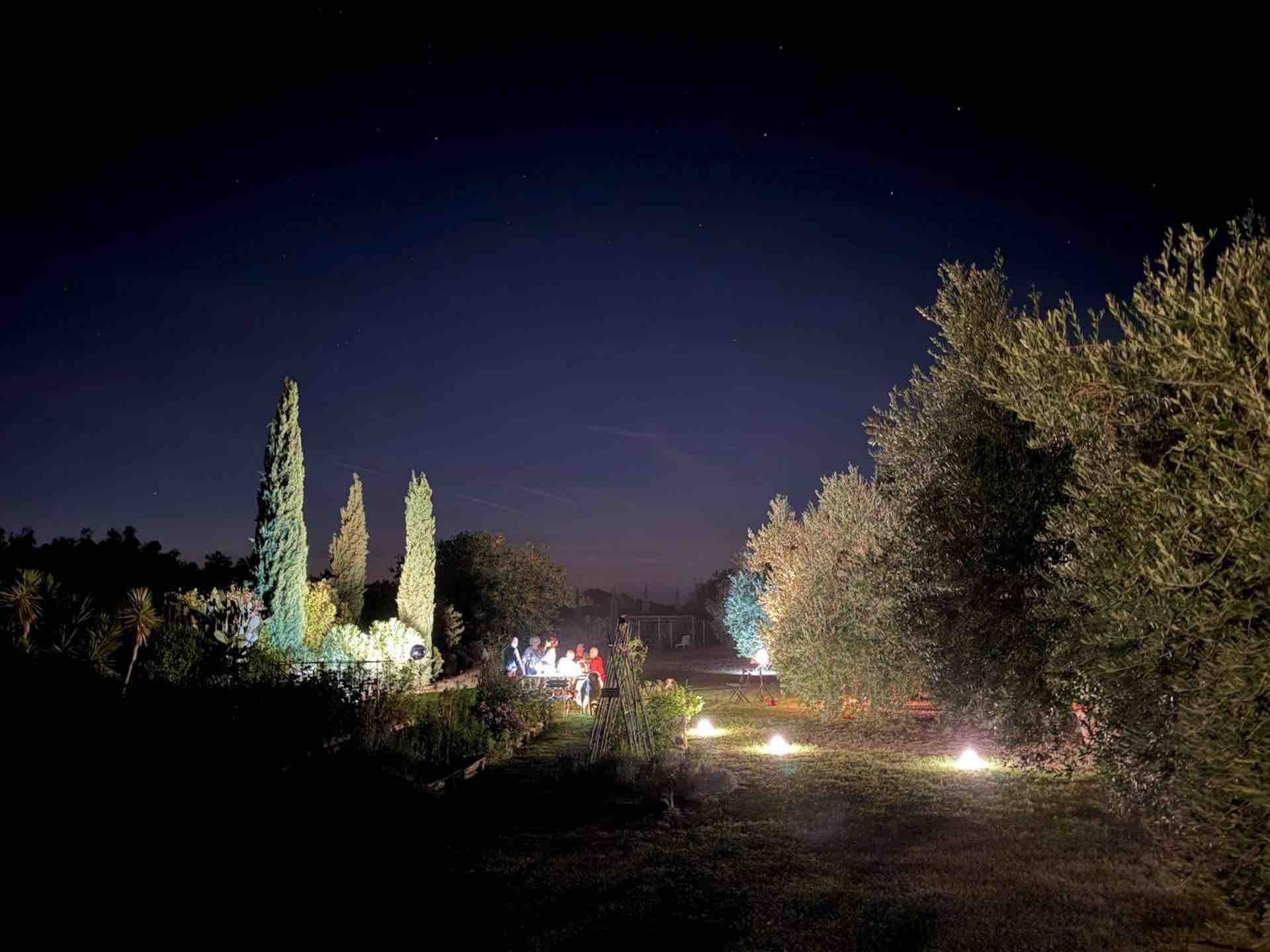 Evening Dinner in the Vegetable Garden Nighttime view of a lit vegetable garden with cypress and olive trees, and a dinner table with guests glowing in the distance