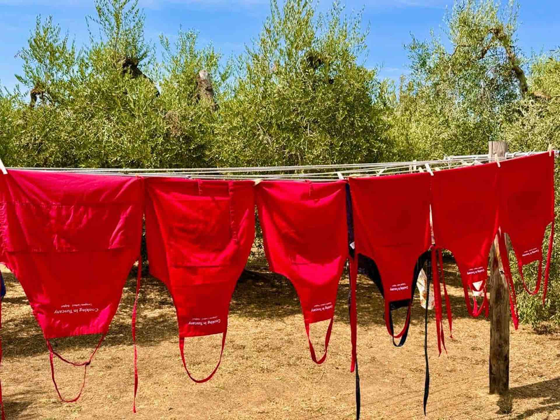 Red Cooking Aprons Drying in the Olive Grove Row of red cooking aprons hanging on a clothesline in an olive grove under a blue sky in Tuscany